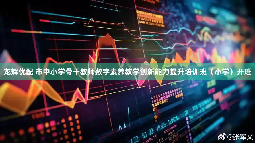 龙辉优配 市中小学骨干教师数字素养教学创新能力提升培训班（小学）开班