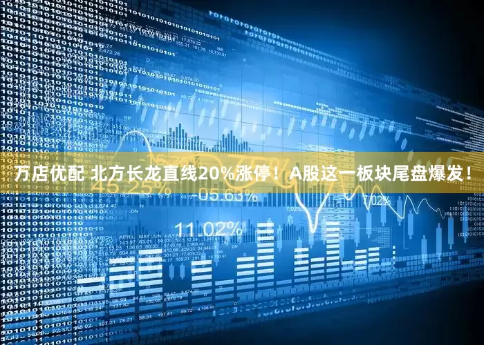 万店优配 北方长龙直线20%涨停！A股这一板块尾盘爆发！